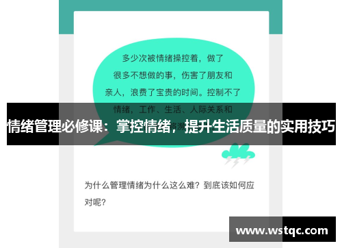 情绪管理必修课：掌控情绪，提升生活质量的实用技巧